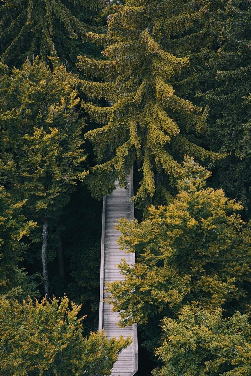 Meditative Walking